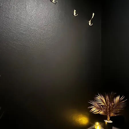 Willa Northern Lights