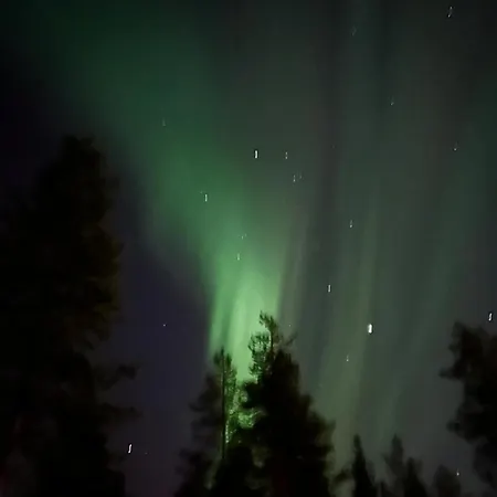 Northern Lights *