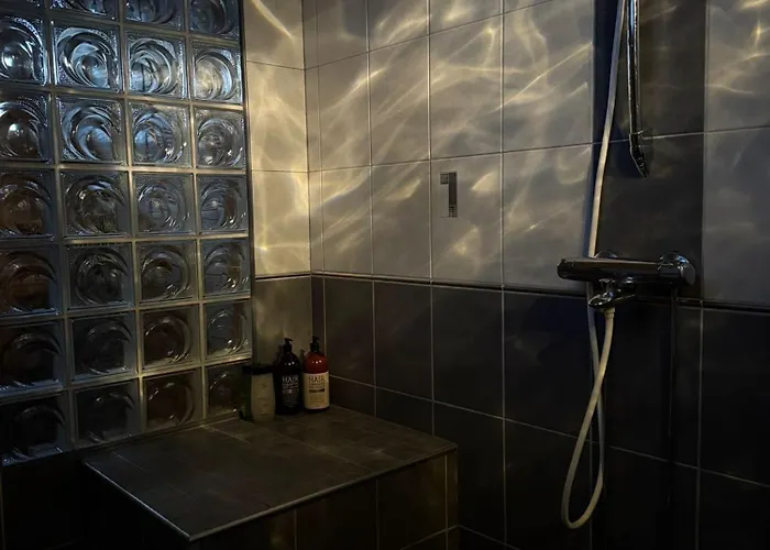 Northern Lights Ροβανιέμι